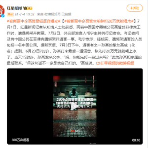 中企高管遭撕票案主犯落网，事件真相与反思揭秘