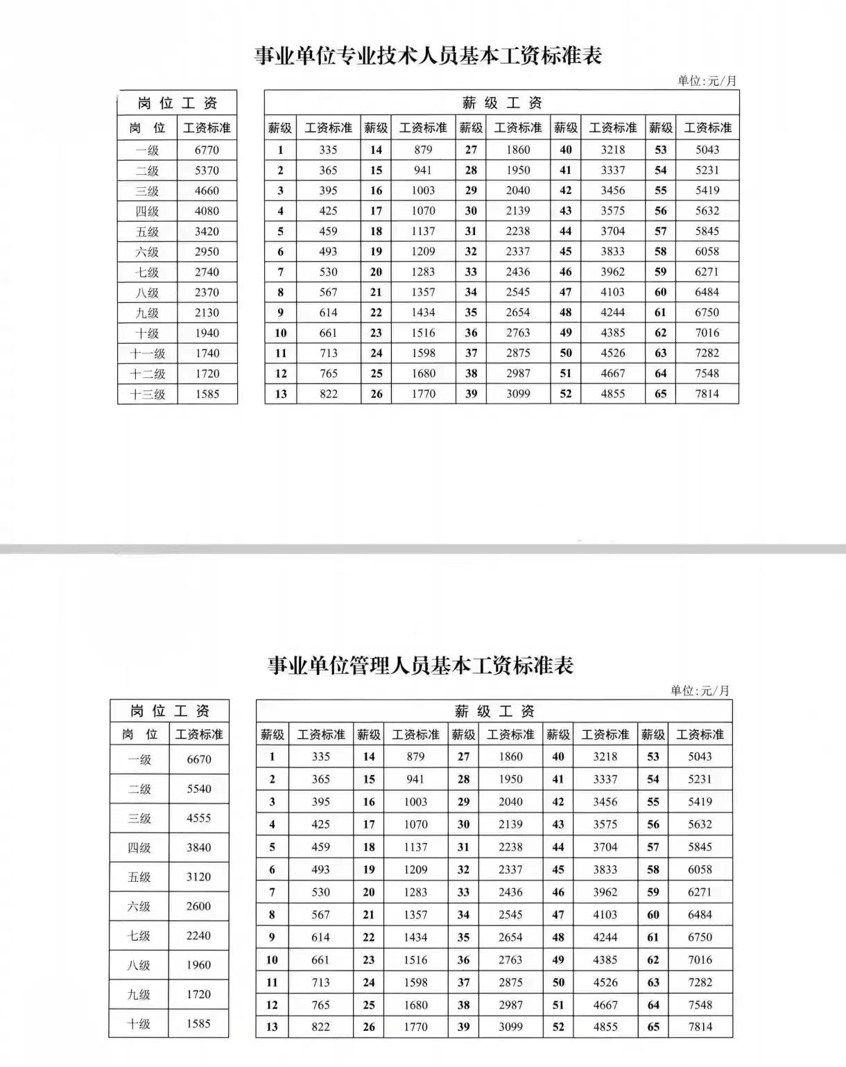 文章引言，探索未知领域的前奏